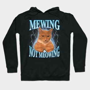 Cat Mewing Looksmax Meowing Cat Hoodie